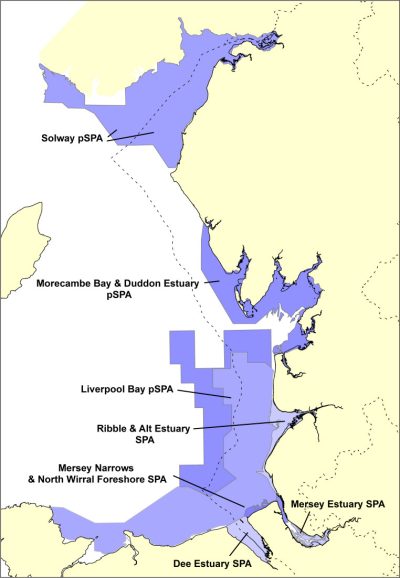 Special Protection Areas and potential Special Protection Areas in the District